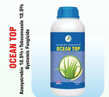 OCEAN TOP